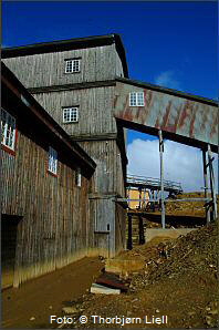 Storwartz. Foto:  Thorbjrn Liell